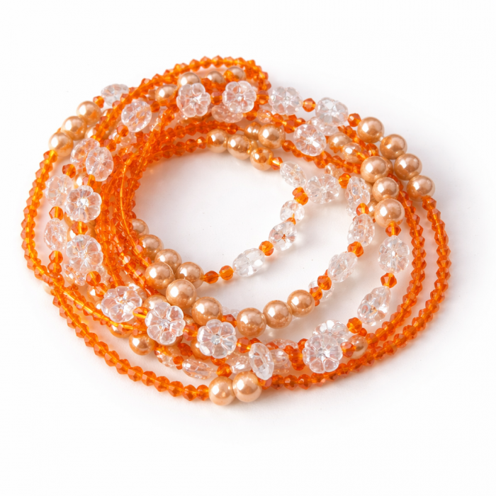 Baya Mariam à 2 Cordes - Transparent